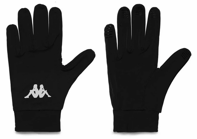 Gants AVES